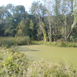 nature_2005_1