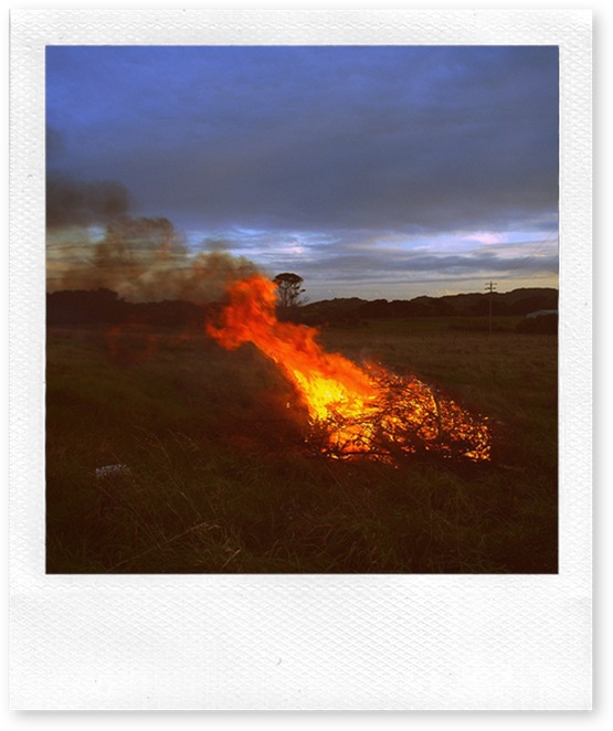 bonfire