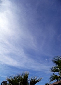100_0092-1