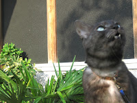 画像 105-1.jpg 画像 105-1.jpg