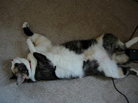 DSCN1158.JPG