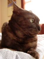 DSCN1580.JPG