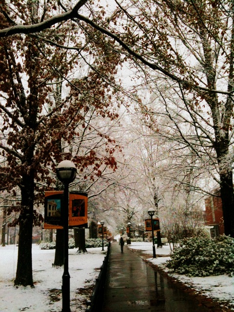 [snow[6].jpg]