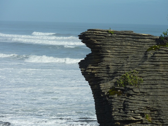[P10109582.jpg]
