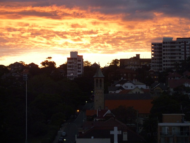 [P10009772.jpg]