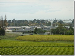 P1010382
