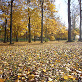 Jardin des deux rives