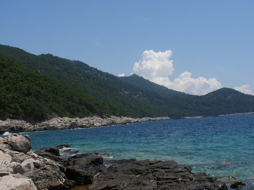 Shoreline