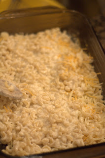picture of assembly of pasta and cheese layers