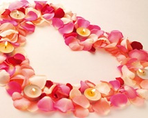 petals-valentines-wallpapers_11548_1280x1024