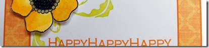 HappyHappyOrangeBirthdaycopy