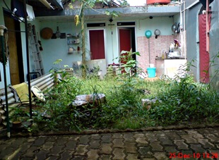 halaman belakang rumah di jonggol