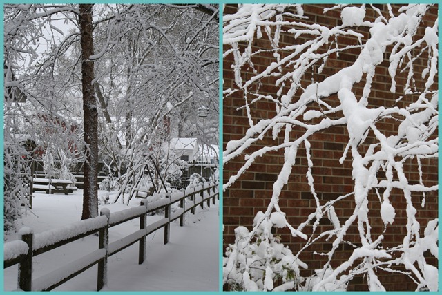 [20101227December20104.jpg]