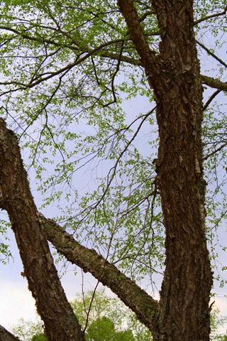 [April201123715.jpg]