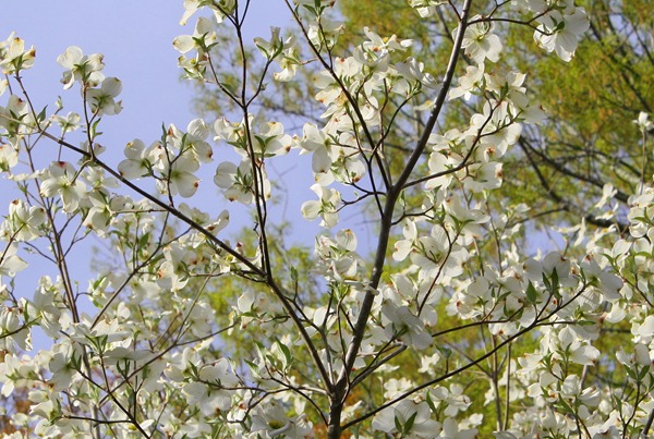 April 2011 079-1