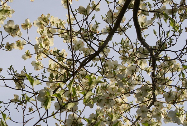 April 2011 073-1