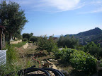 Land Plot in Bordighera 4000 mq