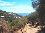 Land Plot in Sanremo 6700 mq