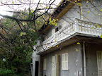 Villa in Sanremo 295 mq