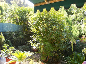 Appartamento Bilocale a Bordighera 60 m2