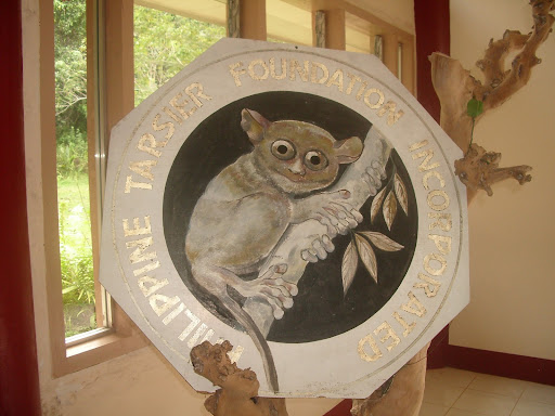 Imgp1832