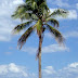 Dsc00091