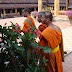 Dsc00820