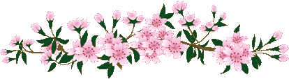 Resultado de imagen de barra separadora  de rosas