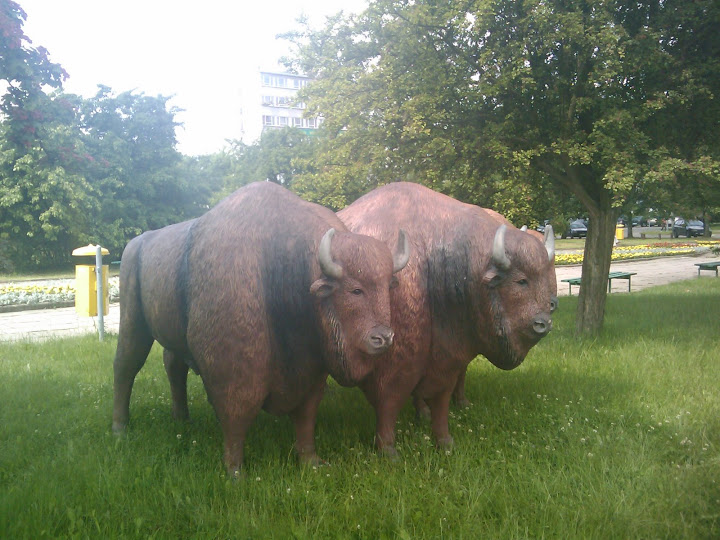 2009-06-10 10.07.42.jpg