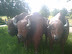 2009-06-10 10.09.59.jpg