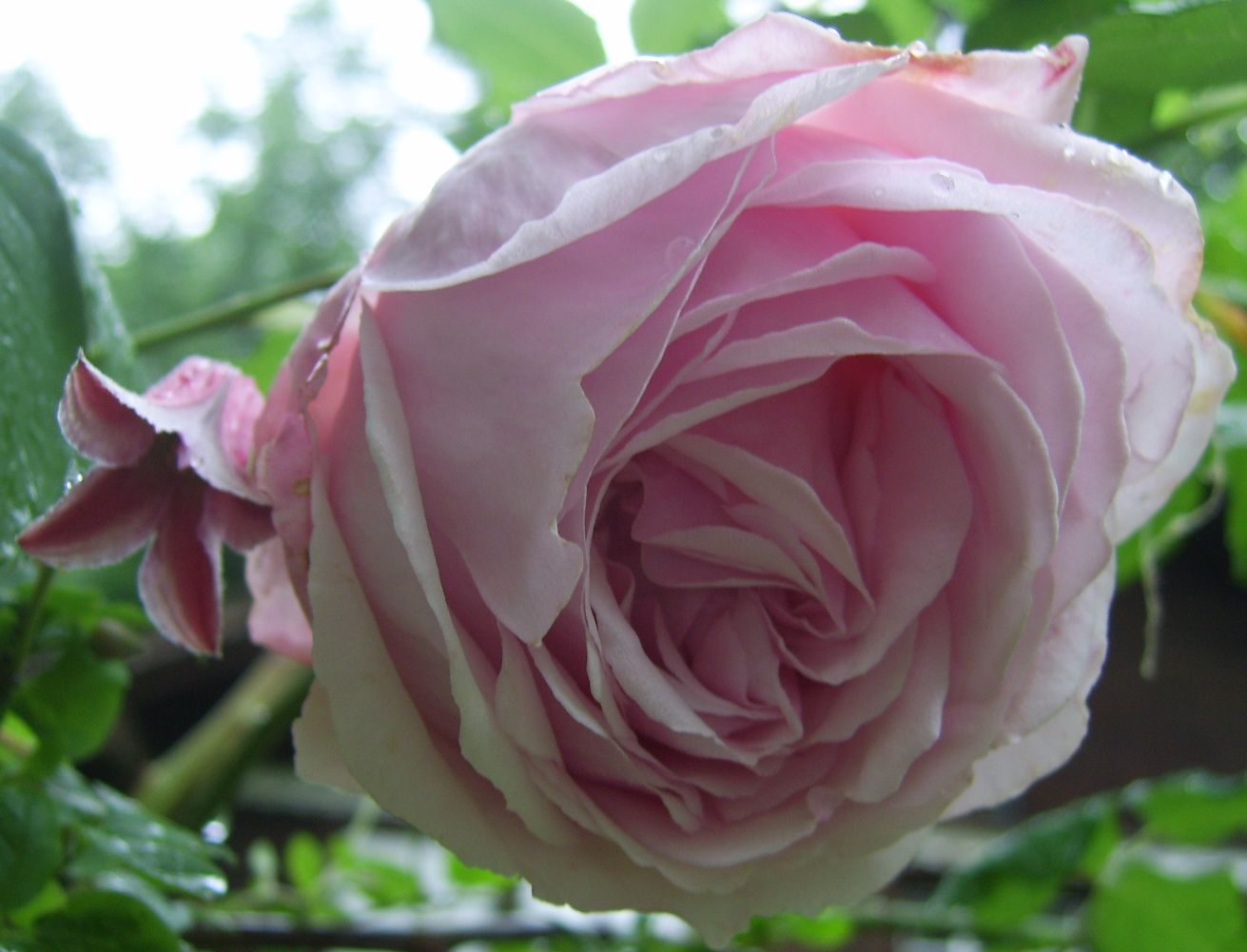 rencontre ecologie au quotidien