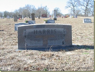 Prairie Springs Cemetery062