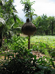 une éducation en lien avec la nature