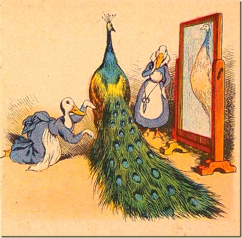 A duck seamstress adjusting the tail of a peacock.