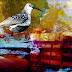 New-Dunlin.jpg