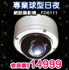 專業球型日夜 網路攝影機