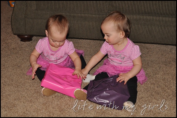 DSC_9535 DSC_9535