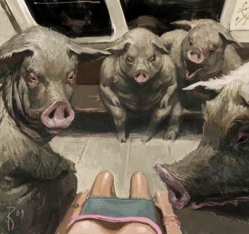 [porquinhos[5].jpg]