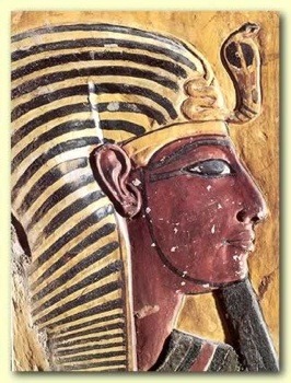 [seti1tm5.jpg]