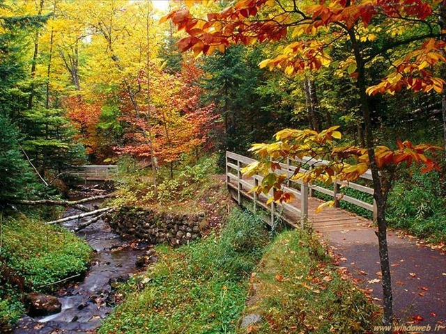 [foto_autunno_33612[2].jpg]