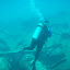 P1010190.JPG