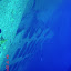 Antillis 050.JPG