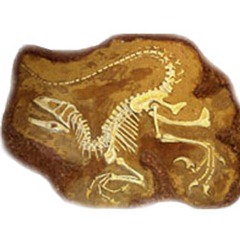 fosseis-paleontologia
