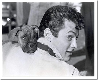 41_1747_20100603130415_Tony Curtis 41_1747_20100603130415_Tony Curtis