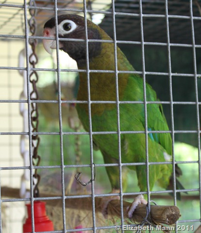 [bird15.jpg]