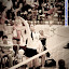 cc_081107_volleyball-district_301-2.jpg cc_081107_volleyball-district_301-2.jpg