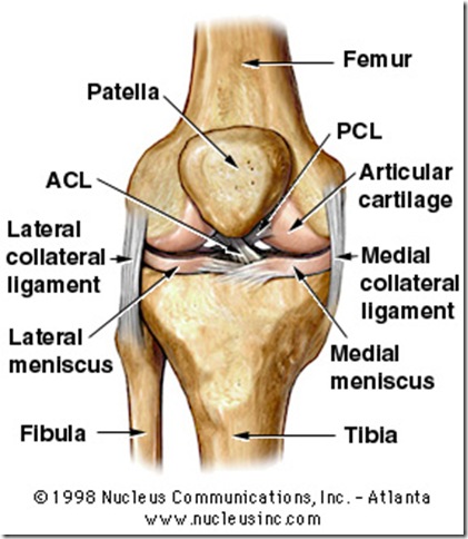 Knee3c