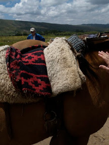 The saddles were fascinating. There was the saddle blanket and a chunk of foam under neath and a saddle blanket and a hunk of sheepskin on top.