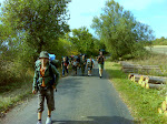 DSC00080.JPG