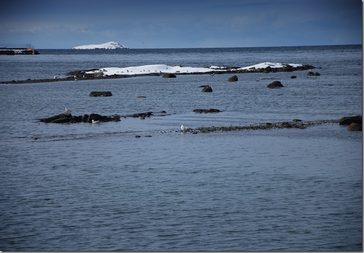 DSC_0690c